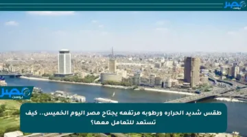 طقس شديد الحرارة ورطوبة مرتفعة يجتاح مصر اليوم الخميس.. كيف تستعد للتعامل معها؟